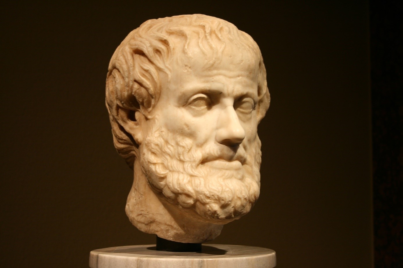 A statue of Aristoteles' head
